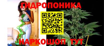PSILOCYBIN Славянск-на-Кубани